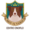 Canis in Fabula Logo